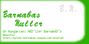 barnabas muller business card